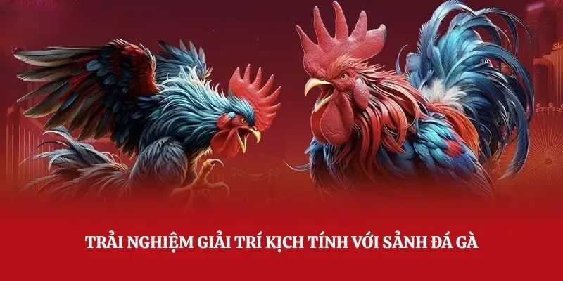 Thông tin về hình thức đá gà Campuchia tại Topbet