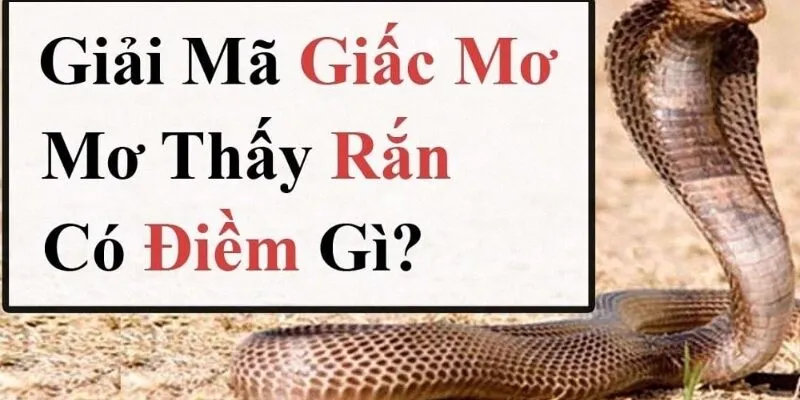 Ý nghĩa cụ thể từng tình huống nằm mơ thấy rắn