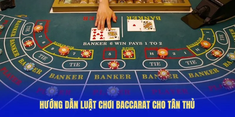 Hướng dẫn luật chơi Baccarat cho tân thủ