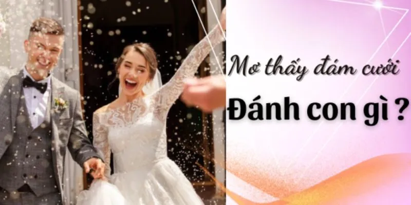 Bật mí con số may mắn