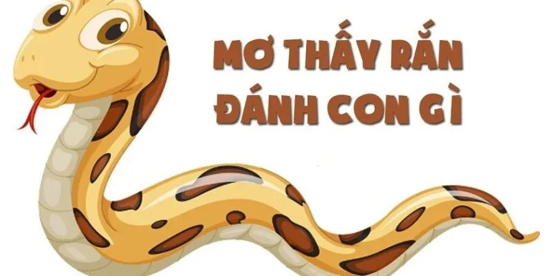 Đi tìm con số may mắn khi nằm mộng thấy rắn