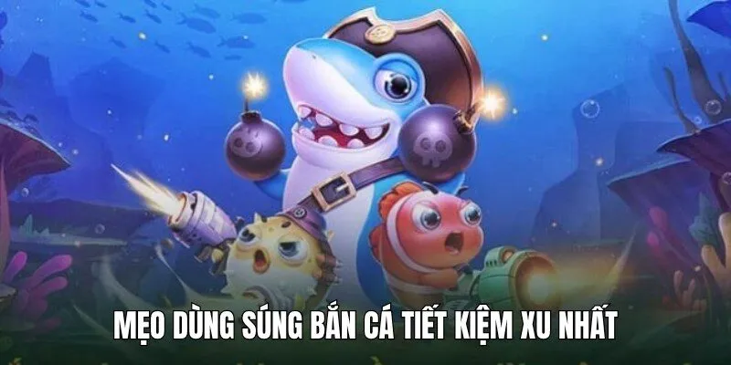Bỏ túi mẹo chọn vũ khí săn ngư tốt nhất